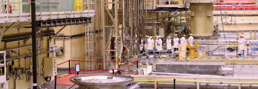 Civil ellenrzs a paksi atomermben