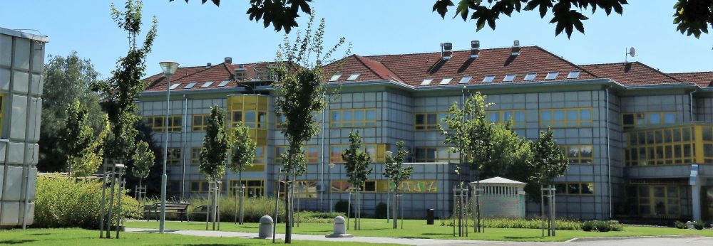 Hamvas Istvn: kulcsfontossg a szakember utnptls