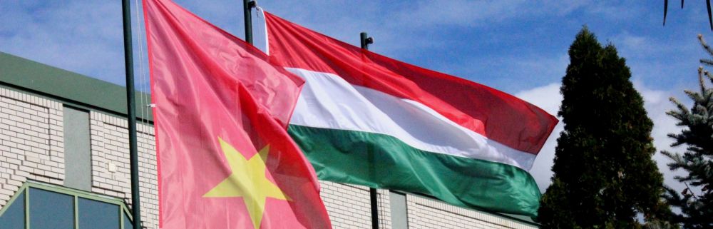 Az atomenergetikai tern szerzett magyar tapasztalatokra pt Vietnam   