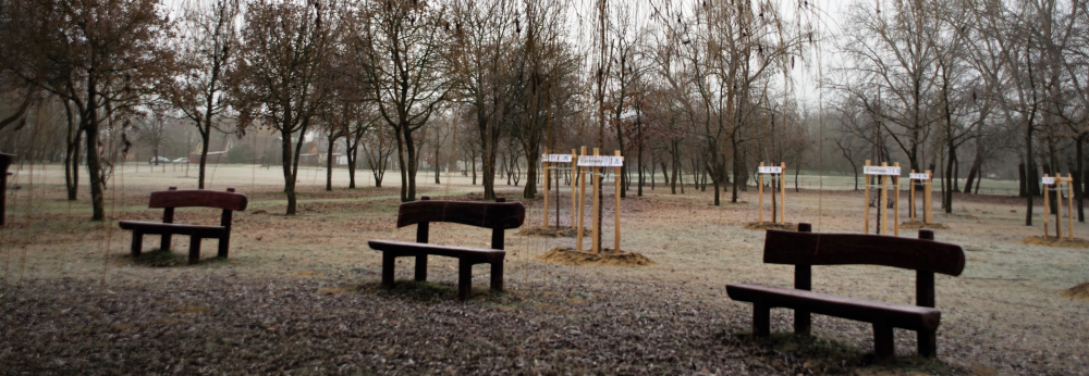 sszefoglal, 2021. janur 11.
